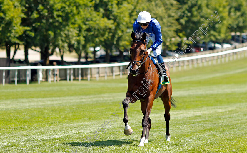 New-London-0001 
 NEW LONDON (William Buick) winner of The bet365 Handicap
Newmarket 8 Jul 2022 - Pic Steven Cargill / Racingfotos.com