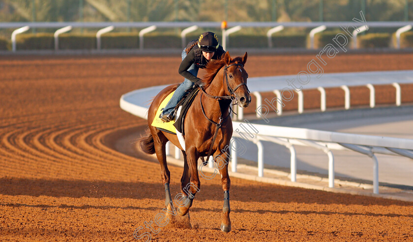 Channel-Cat-0001 
 CHANNEL CAT training for The Neom Turf Cup
King Abdulaziz Racetrack, Riyadh, Saudi Arabia 22 Feb 2022 - Pic Steven Cargill / Racingfotos.com