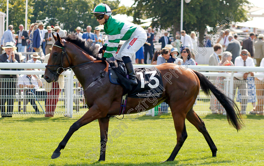 Vingegaard-0001 
 VINGEGAARD (Hollie Doyle)
Goodwood 31 Jul 2024 - Pic Steven Cargill / Racingfotos.com