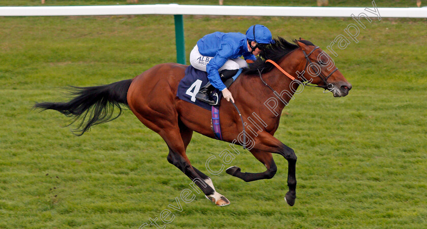 Big-Tour-0004 
 BIG TOUR (Pat Cosgrave) wins The Bombadier Beer Handicap Yarmouth 21 Sep 2017 - Pic Steven Cargill / Racingfotos.com