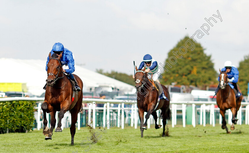 Adayar-0006 
 ADAYAR (William Buick) wins The Hilton Garden Inn Doncaster Conditions Stakes
Doncaster 8 Sep 2022 - Pic Steven Cargill / Racingfotos.com