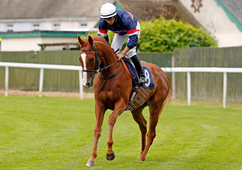 Semper-Augustus-0001 
 SEMPER AUGUSTUS (Tom Marquand)
Yarmouth 1 Jul 2021 - Pic Steven Cargill / Racingfotos.com