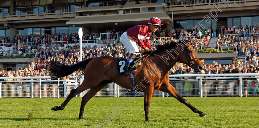 Vino-Victrix-0007 
 VINO VICTRIX (Benoit de la Sayette) wins The William Hill Scratch Of The Day Handicap
Goodwood 26 Aug 2022 - Pic Steven Cargill / Racingfotos.com