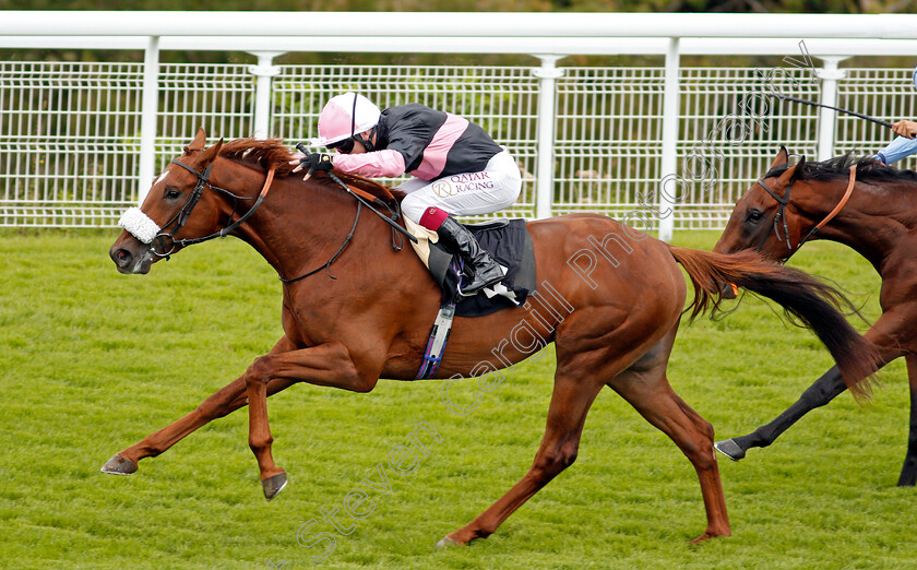 Classic-Lord-0007 
 CLASSIC LORD (Oisin Murphy) wins The Ladbrokes Watch Racing Online For Free Maiden Auction Stakes
Goodwood 30 Aug 2020 - Pic Steven Cargill / Racingfotos.com