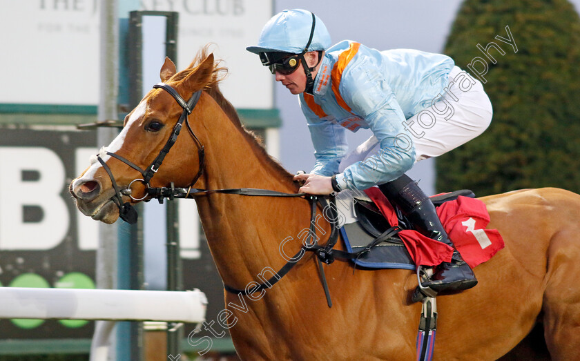 How-Impressive-0001 
 HOW IMPRESSIVE (Brandon Wilkie) wins The Unibet More Boosts In More Races Apprentice Handicap
Kempton 14 Feb 2024 - Pic Steven Cargill / Racingfotos.com