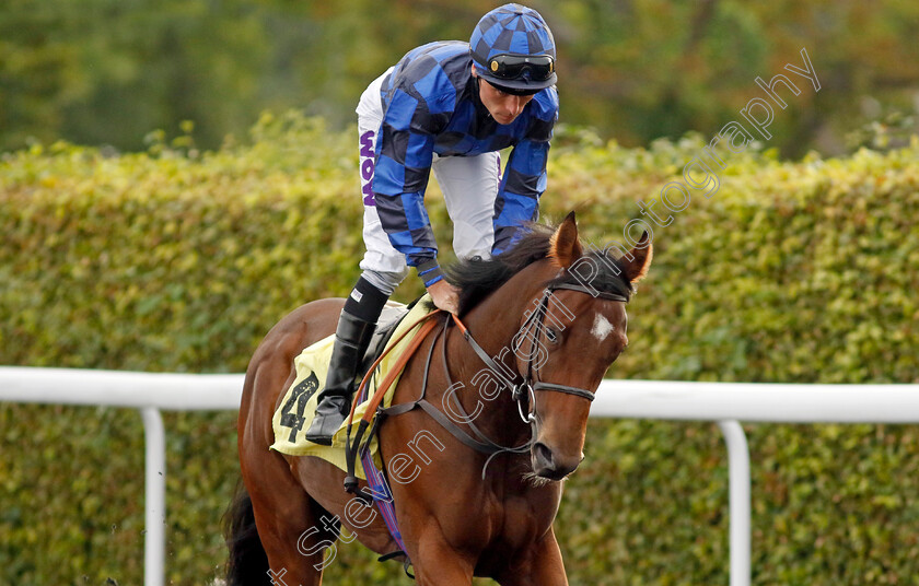 Tentatively-0001 
 TENTATIVELY (Kieran Shoemark)
Kempton 8 Sep 2023 - Pic Steven Cargill / Racingfotos.com