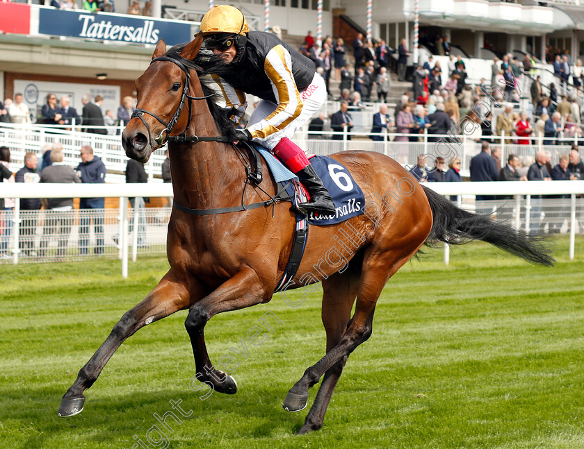 Highgarden-0002 
 HIGHGARDEN (Frankie Dettori)
York 16 May 2018 - Pic Steven Cargill / Racingfotos.com