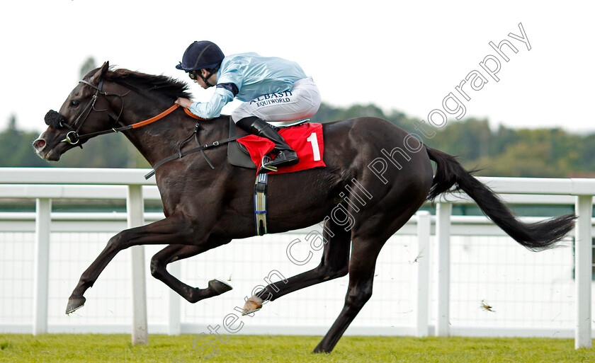 Archetype-0008 
 ARCHETYPE (Oisin Murphy) wins The All New Fiesta At Trust Ford Handicap Sandown 1 Sep 2017 - Pic Steven Cargill / Racingfotos.com