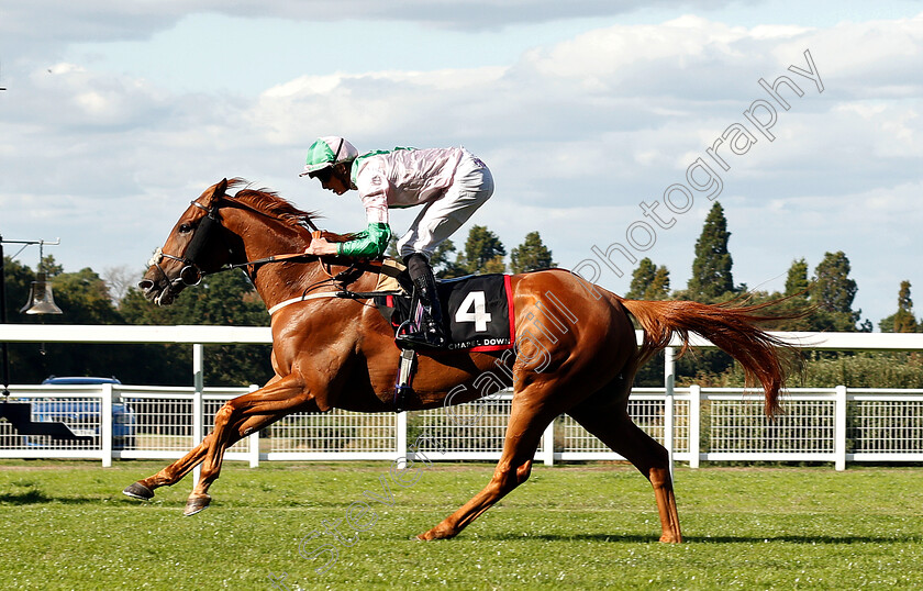 Isomer-0002 
 ISOMER (James Doyle) wins The Chapel Down Classified Stakes
Ascot 7 Sep 2018 - Pic Steven Cargill / Racingfotos.com