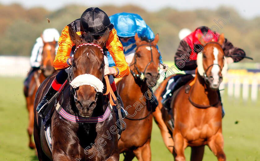 Saaheq-0004 
 SAAHEQ (David Egan) wins The 1stsecuritysolutions.co.uk Handicap
Doncaster 12 Sep 2018 - Pic Steven Cargill / Racingfotos.com