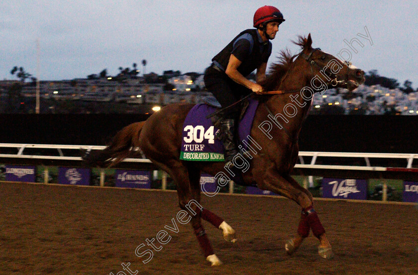 Decorated-Knight-0001 
 DECORATED KNIGHT training for The Breeders' Cup Turf at Del Mar USA 31 Oct 2017 - Pic Steven Cargill / Racingfotos.com