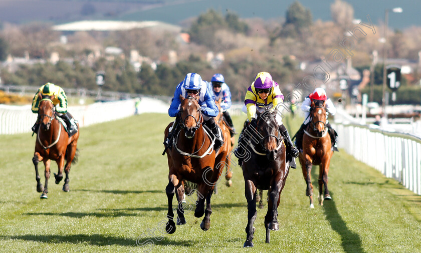 Proper-Beau-0003 
 PROPER BEAU (right, Graham Lee) beats ALMINOOR (left) in The Watch Racing TV Now Novice Stakes
Musselburgh 2 Apr 2019 - Pic Steven Cargill / Racingfotos.com