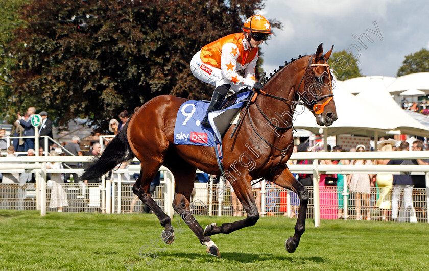 True-Legend-0003 
 TRUE LEGEND (Hollie Doyle)
York 26 Aug 2023 - Pic Steven Cargill / Racingfotos.com