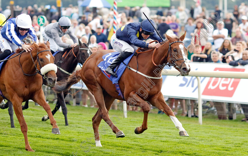 Swingalong-0005 
 SWINGALONG (Clifford Lee) wins The Sky Bet Lowther Stakes
York 18 Aug 2022 - Pic Steven Cargill / Racingfotos.com