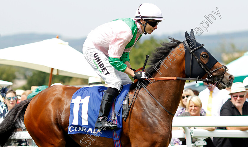 Clockmaker-0001 
 CLOCKMAKER (Jamie Spencer)
Goodwood 31 Jul 2024 - Pic Steven Cargill / Racingfotos.com