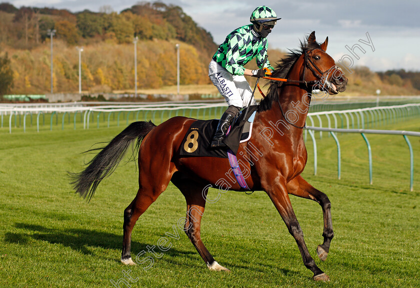 Navegaon-Gate-0002 
 NAVEGAON GATE (Tom Marquand)
Nottingham 4 Nov 2020 - Pic Steven Cargill / Racingfotos.com