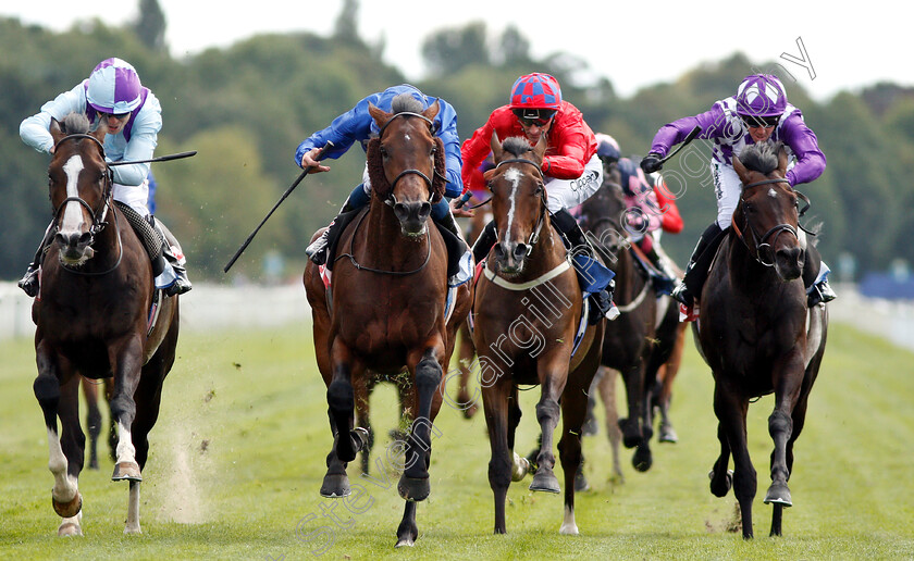 Ghostwatch-0005 
 GHOSTWATCH (centre, William Buick) beats SUPERNOVA (left) and CORGI (right) in The Sky Beyt Melrose Handicap
York 25 Aug 2018 - Pic Steven Cargill / Racingfotos.com