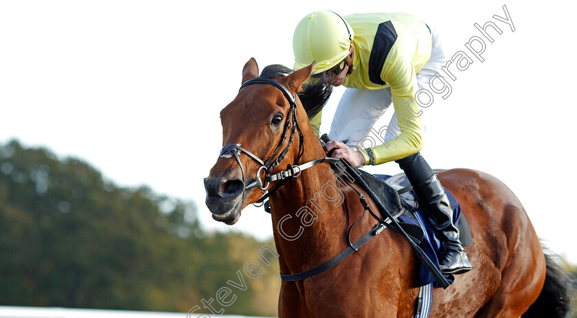 Maamora-0009 
 MAAMORA (James Doyle) wins The Coral EBF Fleur De Lys Fillies Stakes
Lingfield 28 Oct 2021 - Pic Steven Cargill / Racingfotos.com