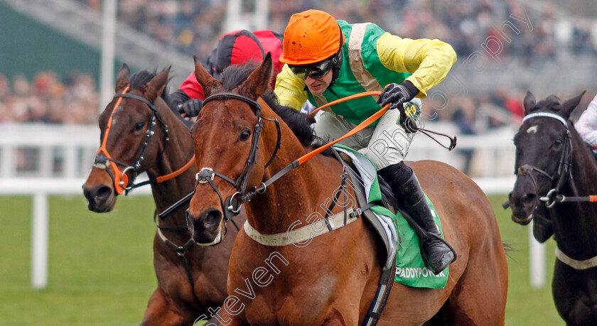 Midnight-Shadow-0005 
 MIDNIGHT SHADOW (Danny Cook) wins The Paddy Power Broken Resolutions Already Dipper Novices Chase
Cheltenham 1 Jan 2020 - Pic Steven Cargill / Racingfotos.com