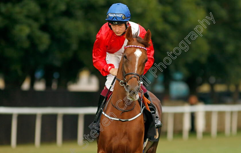 Ice-House-0003 
 ICE HOUSE (Cieren Fallon)
Newmarket 22 Jul 2022 - Pic Steven Cargill / Racingfotos.com