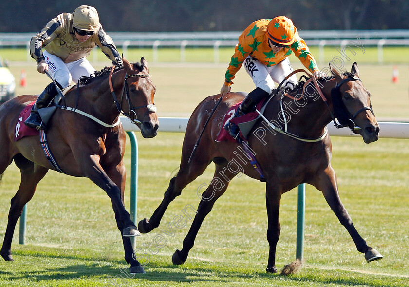 Love-Is-Golden-0004 
 LOVE IS GOLDEN (right, Richard Kingscote) beats POLYPHONIC (left) in The Common Sense Lending Handicap
Haydock 1 Sep 2022 - Pic Steven Cargill / Racingfotos.com