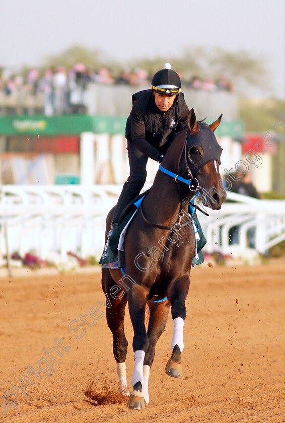 Midnight-Bourbon-0002 
 MIDNIGHT BOURBON training for the Saudi Cup
King Abdulaziz Racetrack, Riyadh, Saudi Arabia 24 Feb 2022 - Pic Steven Cargill / Racingfotos.com