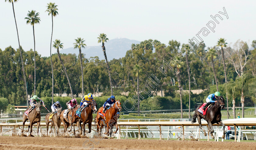 Goodnight-Olive-0005 
 GOODNIGHT OLIVE (Irad Ortiz) wins The Breeders' Cup Filly & Mare Sprint
Santa Anita 4 Nov 2023 - Pic Steven Cargill / Racingfotos.com