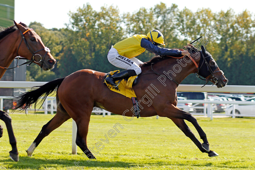 Desert-Encounter-0005 
 DESERT ENOCUNTER (Sean Levey) wins The Dubai Duty Free Legacy Cup Stakes Newbury 23 Sep 2017 - Pic Steven Cargill / Racingfotos.com