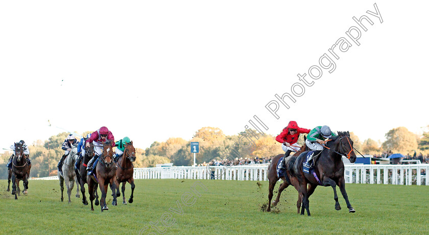 King-Of-Change-0001 
 KING OF CHANGE (Sean Levey) wins The Queen Elizabeth II Stakes
Ascot 19 Oct 2019 - Pic Steven Cargill / Racingfotos.com