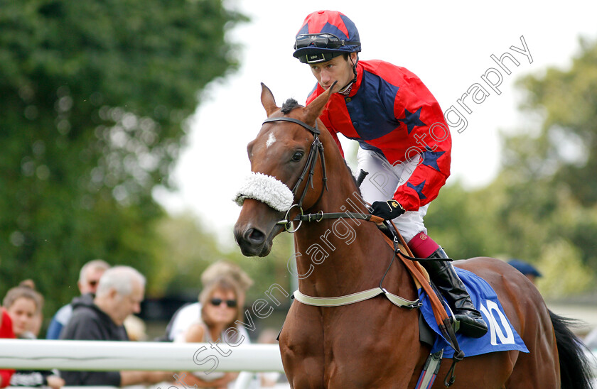 War-In-Heaven-0002 
 WAR IN HEAVEN (Oisin Murphy)
Salisbury 11 Aug 2021 - Pic Steven Cargill / Racingfotos.com