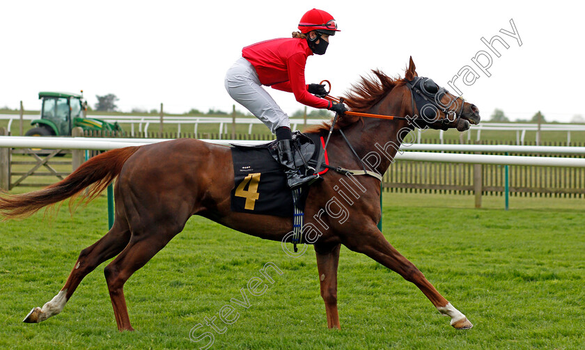 Lilkian-0001 
 LILKIAN (Molly Presland)
Newmarket 14 May 2021 - Pic Steven Cargill / Racingfotos.com