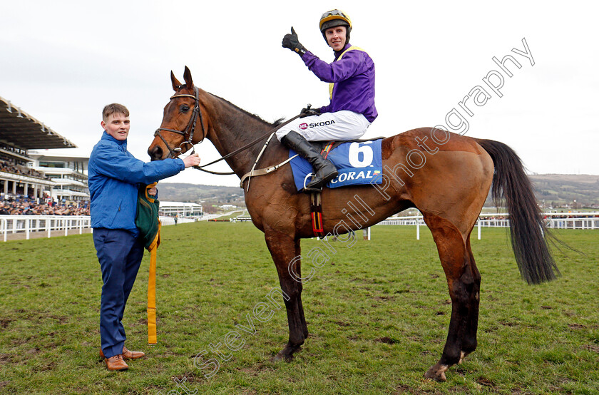 Bleu-Berry-0006 
 BLEU BERRY (Mark Walsh) wins The Coral Cup Cheltenham 14 Mar 2018 - Pic Steven Cargill / Racingfotos.com