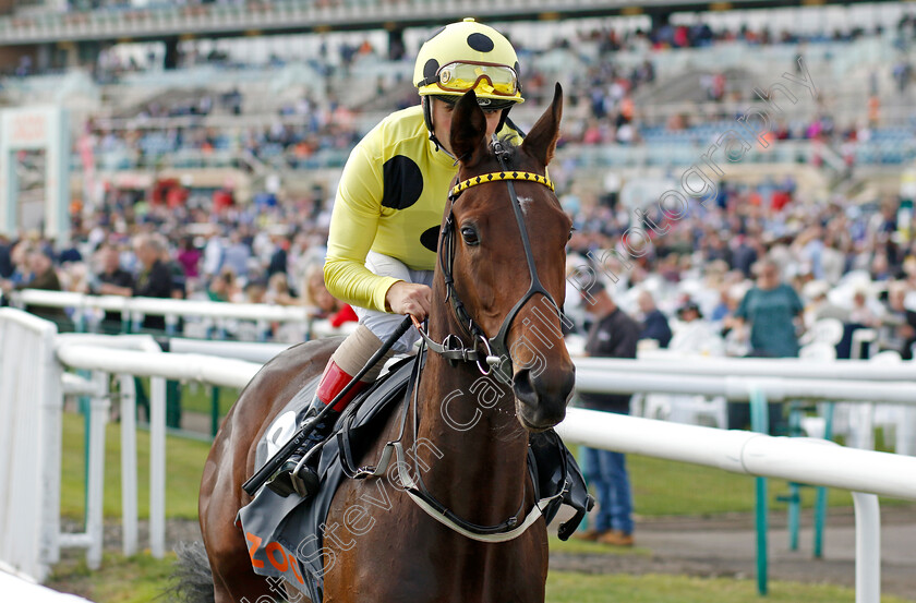 Novakai-0001 
 NOVAKAI (Andrea Atzeni)
Doncaster 8 Sep 2022 - Pic Steven Cargill / Racingfotos.com