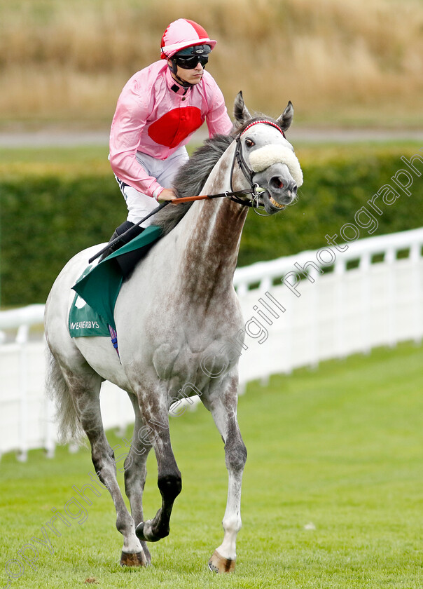 Misty-Grey-0001 
 MISTY GREY (Richard Kingscote)
Goodwood 27 Aug 2022 - Pic Steven Cargill / Racingfotos.com