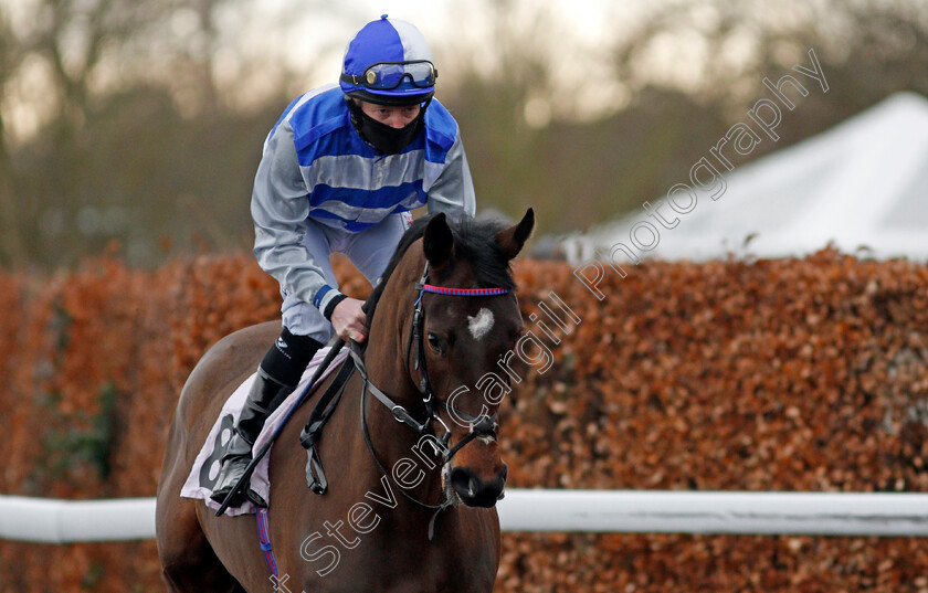 Marsden-Cross-0001 
 MARSDEN CROSS (William Carson)
Kempton 16 Feb 2021 - Pic Steven Cargill / Racingfotos.com