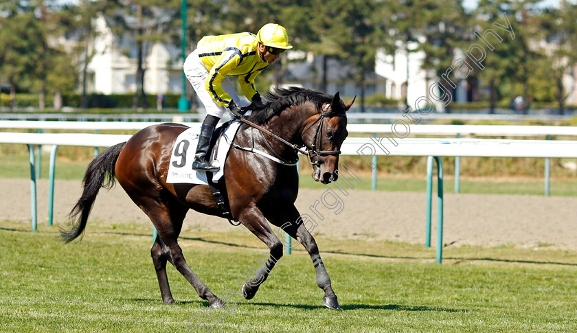 Perfect-Power-0001 
 PERFECT POWER (Christophe Soumillon)
Deauville 7 Aug 2022 - Pic Steven Cargill / Racingfotos.com