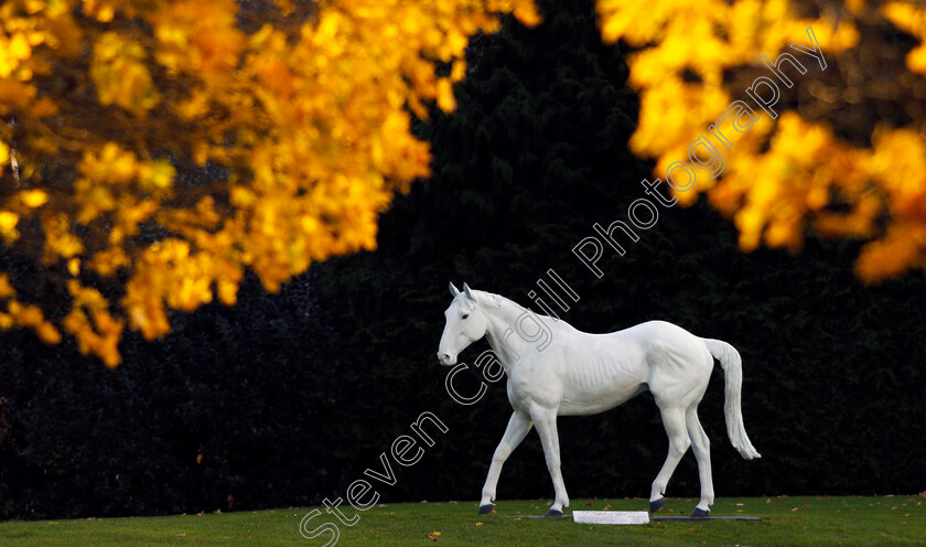 Desert-Orchid-0001 
 DESERT ORCHID statue at Kempton 22 Nov 2017 - Pic Steven Cargill / Racingfotos.com