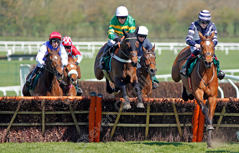 Dame-De-Compagnie-0002 
 DAME DE COMPAGNIE (centre, Barry Geraghty) beats ANGELS ANTICS (right) in The Huw Stevens Jo Whiley Afterparty Onsale Mares Novices Hurdle Cheltenham 19 Apr 2018 - Pic Steven Cargill / Racingfotos.com