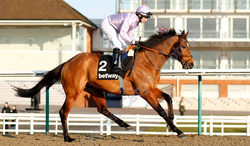 Abe-Lincoln-0001 
 ABE LINCOLN (Ryan Moore)
Lingfield 2 Feb 2019 - Pic Steven Cargill / Racingfotos.com