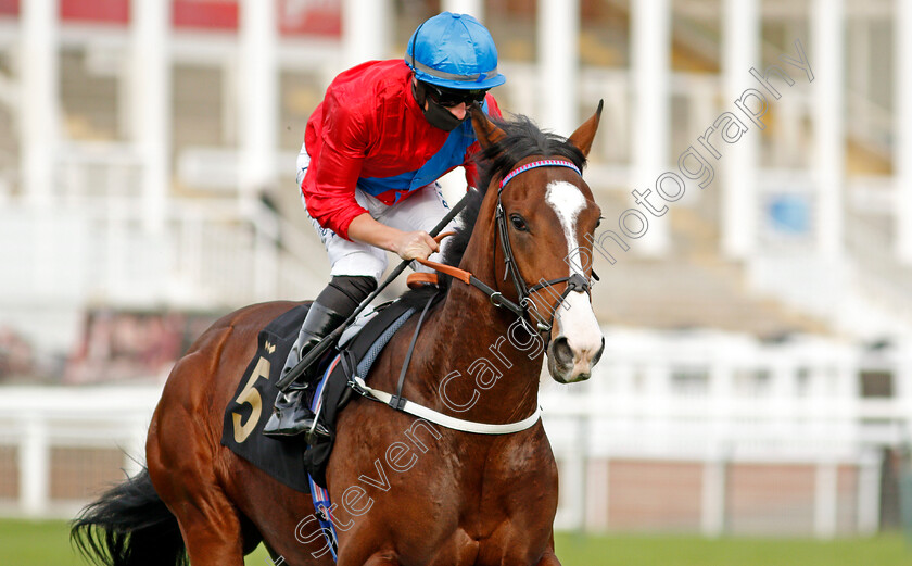 Glide-Down-0001 
 GLIDE DOWN (Tom Marquand)
Nottingham 28 Oct 2020 - Pic Steven Cargill / Racingfotos.com