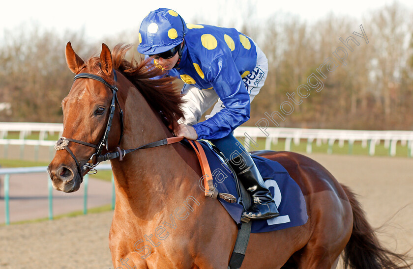 Dromara-King-0001 
 DROMARA KING (David Probert)
Lingfield 4 Jan 2020 - Pic Steven Cargill / Racingfotos.com