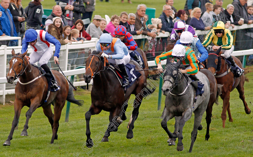 Gangland-0004 
 GANGLAND (right, David Nolan) beats ZABALETASWANSONG (centre) and HAVANA MARIPOSA (left) in The Dennis The Sailor Barrett Nursery Yarmouth 24 Oct 2017 - Pic Steven Cargill / Racingfotos.com