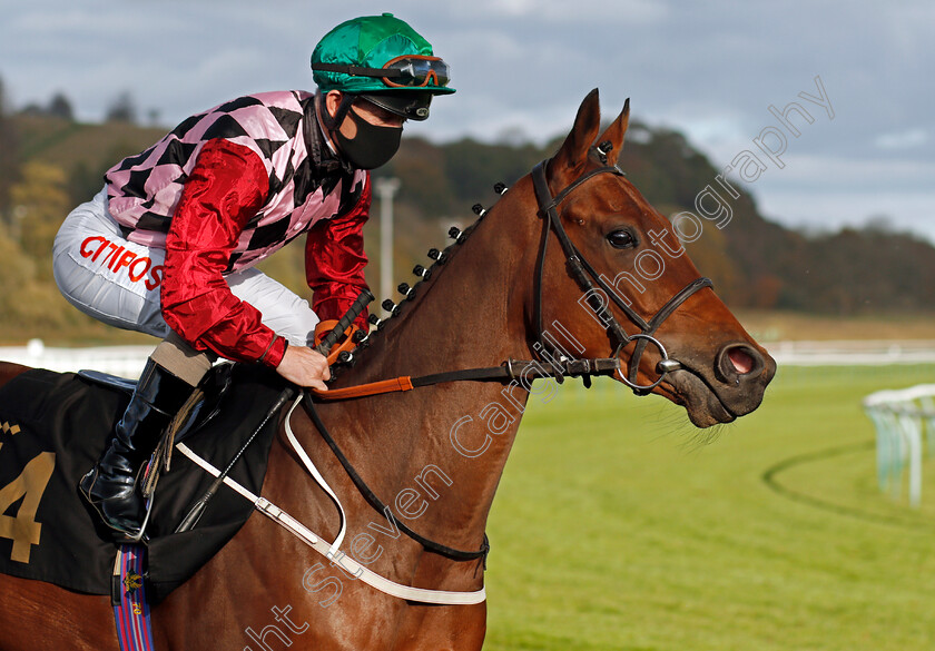 Soapy-Stevens-0001 
 SOAPY STEVENS (Franny Norton)
Nottingham 4 Nov 2020 - Pic Steven Cargill / Racingfotos.com