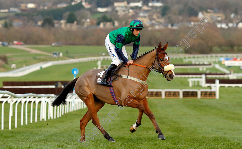 Aboutdamntime-0001 
 ABOUTDAMNTIME (Craig Nichol)
Cheltenham 14 Dec 2024 - Pic Steven Cargill / Racingfotos.com