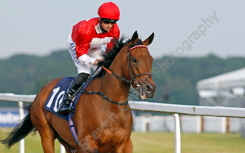 Rogue-Millennium-0003 
 ROGUE MILLENNIUM (Jack Mitchell)
Newcastle 24 Jun 2022 - Pic Steven Cargill / Racingfotos.com