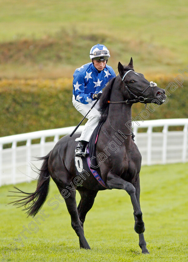 Qarasu-0001 
 QARASU (Jason Watson)
Goodwood 25 Sep 2019 - Pic Steven Cargill / Racingfotos.com