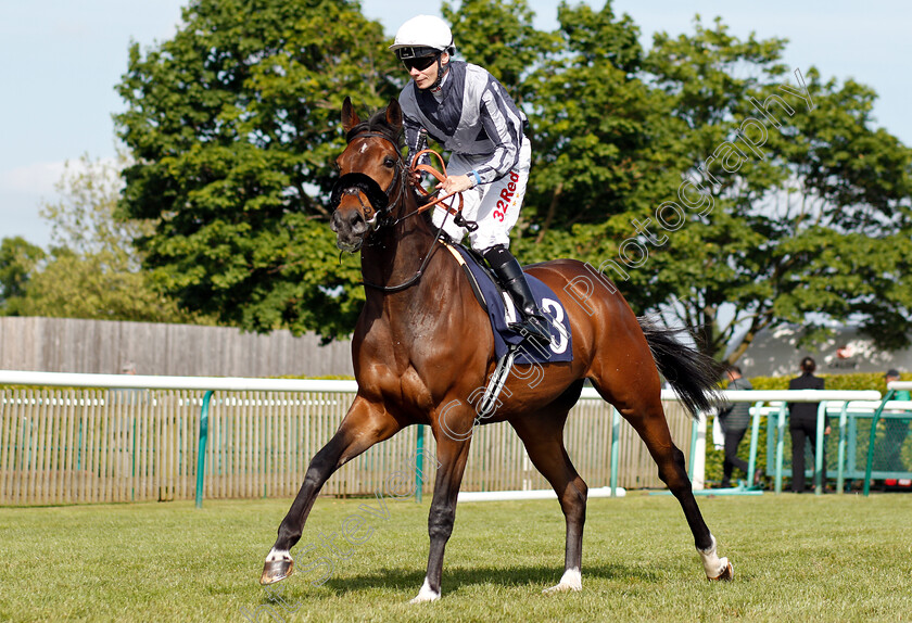 Advanced-Virgo-0001 
 ADVANCED VIRGO (Jamie Spencer)
Newmarket 18 May 2018 - Pic Steven Cargill / Racingfotos.com