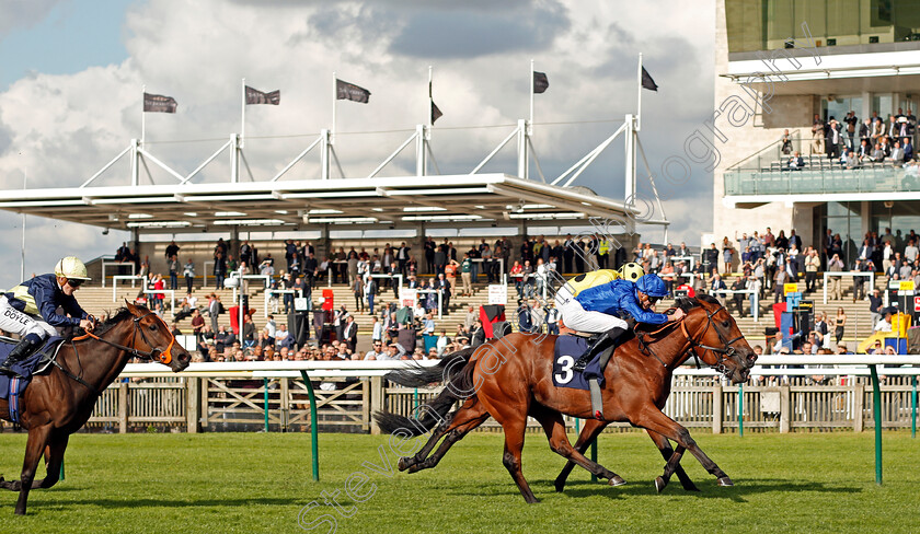 Rastrelli-0001 
 RASTRELLI (James Doyle) beats GLOBAL CONQUEROR (farside) and PAINT (left) in The newmarketracecourses.co.uk Nursery Newmarket 28 Sep 2017 - Pic Steven Cargill / Racingfotos.com