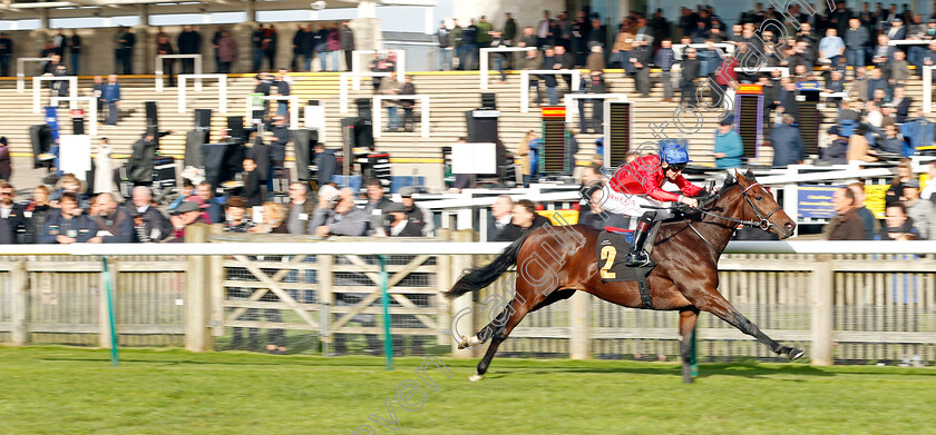 Audience-0002 
 AUDIENCE (Robert Havlin) wins The 888sport British EBF Novice Stakes Div1
Newmarket 29 Oct 2021 - Pic Steven Cargill / Racingfotos.com