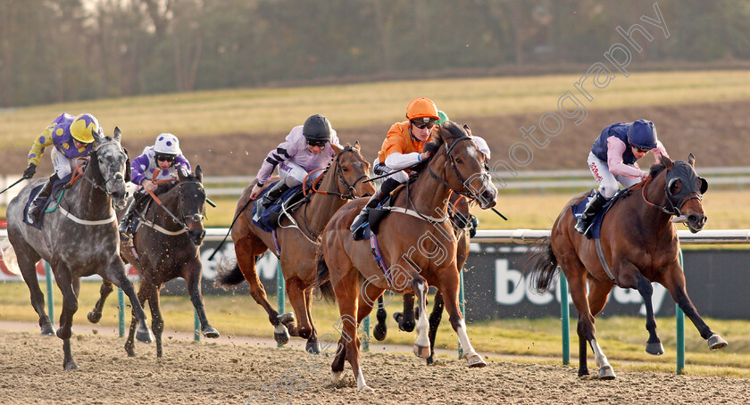 Regicide-0001 
 REGICIDE (centre, Daniel Muscutt) beats KING KEVIN (right) in The Betway Live Casino Handicap Lingfield 16 Feb 2018 - Pic Steven Cargill / Racingfotos.com